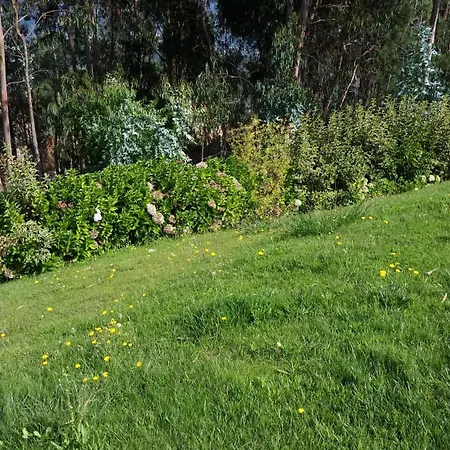 Villa Beiral Do Lima